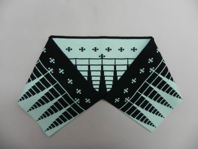 �ڰ�˫ɫ�Ứ��