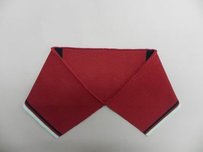 ��ɫ��ë�Ứ��